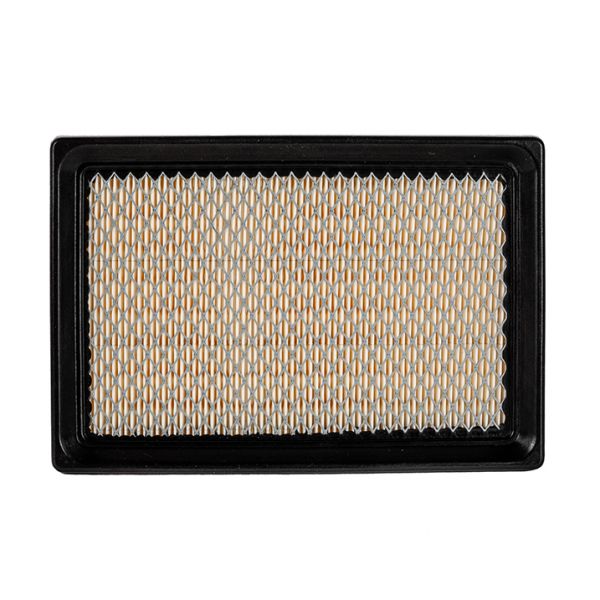 Фильтр салона DEES filters DSC1077