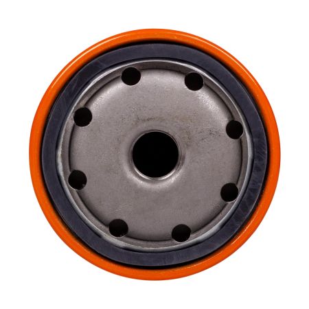 Фильтр топливный DEES filters DSF3161