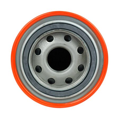 Фильтр топливный DEES filters DSF3212