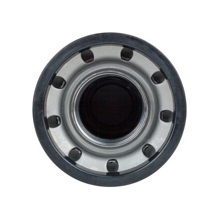 Фильтр топливный DEES filters DSF3144